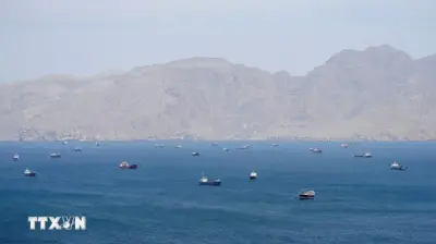 Mỹ kêu gọi NATO chuẩn bị kế hoạch B nếu Iran từ chối mở lại eo biển Hormuz