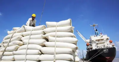 Malaysia tăng mua gạo Việt dù Indonesia dự trữ kỷ lục 5 triệu tấn