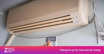 Mẹo đặt 3 thứ trong phòng khi dùng điều hòa mùa hè để tránh khô da, nghẹt mũi