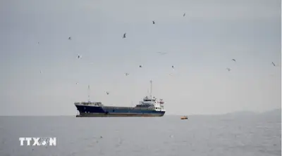 Đóng cửa eo biển Hormuz gây gián đoạn hoạt động xây dựng tại nhiều nước
