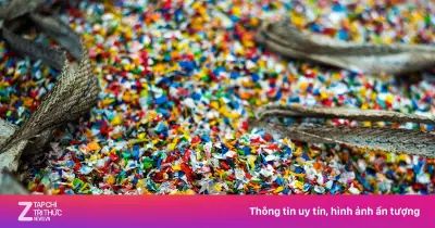 Những thực phẩm quen thuộc chứa đầy vi nhựa: Nước đóng chai, đồ ăn nhanh, gạo