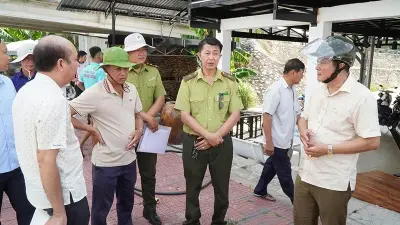 Phát hiện cá sấu lớn trên sông là tin giả do AI tạo ra