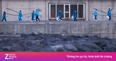 Phát hiện ca nhiễm virus Hanta biến thể Andes trên tàu du lịch MV Hondius