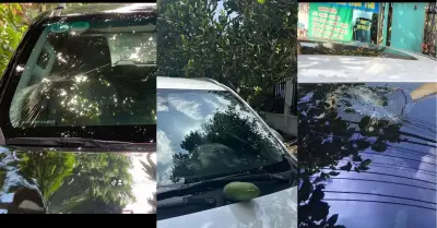 Quả xoài rơi trúng kính lái ô tô, chủ xe Mitsubishi Xpander mất oan 10 triệu