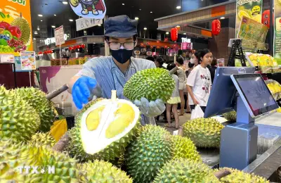 Sầu riêng Việt Nam sẵn sàng vào thị trường Ấn Độ từ tháng 7