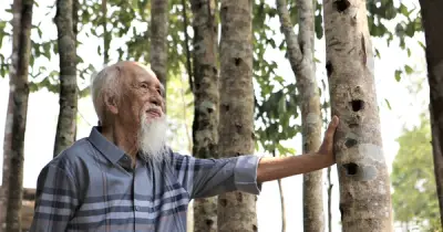 Từ vùng bưởi tiến vua đến 'thủ phủ' trầm hương: Hành trình 'thuần hóa' cây dó bầu