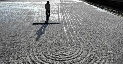 Thợ muối Ấn Độ trát phân lên lều để chống chọi nắng nóng 48°C