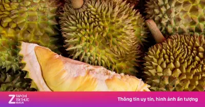 Thủ phủ sầu riêng Thái Lan tiêu điều sau bão, nông dân khóc ròng
