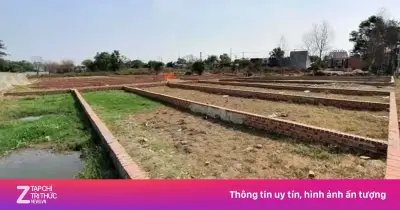 TP.HCM rà soát diện rộng tình trạng phân lô bán nền tự phát tại Bình Dương cũ