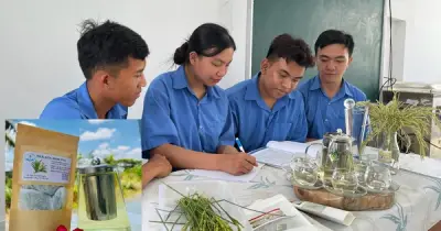 Trà từ lúa chét ST25: Đặc sản độc lạ của Sóc Trăng