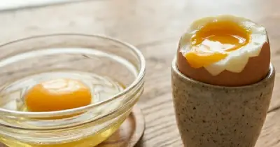 Trứng lòng đào: Sự cân bằng giữa protein và dinh dưỡng