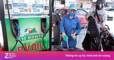 VAMA giải mã lo ngại về an toàn động cơ khi dùng xăng E10