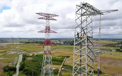 VNECO phủ nhận tham gia dự án 500kV mạch 3, chuẩn bị chuyển sàn UPCoM