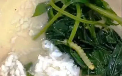 Xác minh vụ canh rau có sâu ở bếp ăn sinh viên Đại học Huế