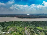 100 thủ tục nông nghiệp môi trường tiếp nhận phi địa giới