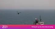 1.600 tàu mắc kẹt ở Hormuz: Dự án Tự do của ông Trump thất bại