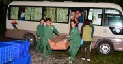 28 cá thể rùa quý hiếm hồi hương từ Hàn Quốc về Cúc Phương