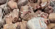 4 tháng, doanh nghiệp nhập khẩu gần 930 triệu USD thịt và phụ phẩm