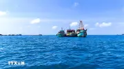 5 tháng đầu năm 2026: 355 vụ tai nạn tàu thuyền, 59 người chết