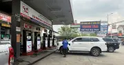 Đa số xe máy, ô tô hiện nay đều thích nghi tốt với xăng E10
