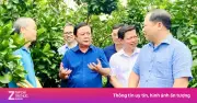 Đưa sách về ruộng đồng giúp nông dân kể chuyện nông sản Việt