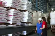 Agribank tiếp sức doanh nghiệp bứt phá tăng trưởng năm 2026