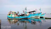 An Giang hỗ trợ ngư dân lắp thiết bị giám sát hành trình chống IUU