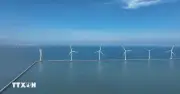 An ninh năng lượng cho Việt Nam nhìn từ kinh nghiệm thích ứng của Malaysia
