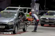 APEC khẳng định quyết tâm bảo vệ chuỗi cung ứng năng lượng