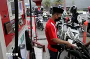 ASEAN+3 nhất trí hợp tác giải quyết thách thức nguồn cung dầu thô