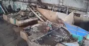 Bị cuốn vào máy nghiền, người đàn ông tử vong thương tâm