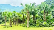 Bí ẩn tên gọi bản Khun và sức sống văn hóa giữa núi rừng Tuyên Quang