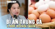 Bí ẩn trứng gà 1.000 đồng: Nhà sản xuất thực phẩm sạch bế tắc