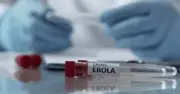 Bộ Y tế yêu cầu bệnh viện tăng cường phòng chống dịch Ebola