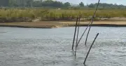 Ba trẻ đuối nước thương tâm tại sông Trà Khúc, Quảng Ngãi