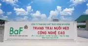 BAF vay 50 triệu USD từ FMO Hà Lan phát triển trang trại heo