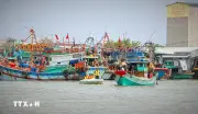 Ban Chỉ đạo quốc gia về IUU ban hành Quy chế hoạt động mới