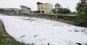 Bắc Ninh chỉ đạo xử lý ô nhiễm kênh Kim Đôi