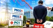Biến cố dồn dập tại các công ty xây lắp điện khiến nhà đầu tư chới với