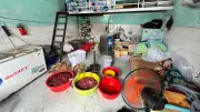 Bên trong cơ sở tẩm hóa chất biến thịt heo, nai thành thịt bò