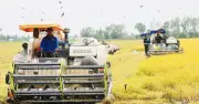 Báo cáo kinh tế ĐBSCL 2025: Doanh nghiệp là động lực then chốt cho tăng trưởng