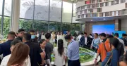 Bụt Tóc Trên Công Trường Căn Hộ Resort Khu Nam TP.HCM Cần Kể Ngay Cát Nóc