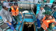 Bắt tàu chở hơn 31.000 lít dầu lậu trên biển Cà Mau