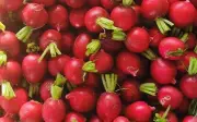 Củ cải đường: 'Kho báu' dinh dưỡng ít calo, nhiều lợi ích sức khỏe