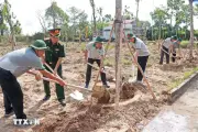 Cà Mau cụ thể hóa mục tiêu trồng hơn 1 triệu cây xanh ứng phó biến đổi khí hậu
