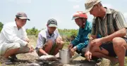 Cà Mau chỉ đạo xử lý thiệt hại cây trồng do thi công sân bay
