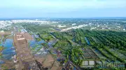 Cà Mau: Nước mặn xâm nhập do thi công sân bay, hàng chục hộ dân mất trắng thủy sản