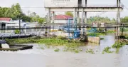 Cà Mau quy định diện tích xây dựng công trình nông nghiệp
