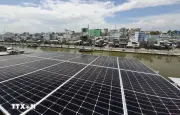 Cà Mau đầu tư mạnh hạ tầng lưới điện đón sóng năng lượng tái tạo
