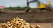 Cổ đông TMG sắp nhận 3.500 đồng/cp cổ tức đợt cuối năm 2025